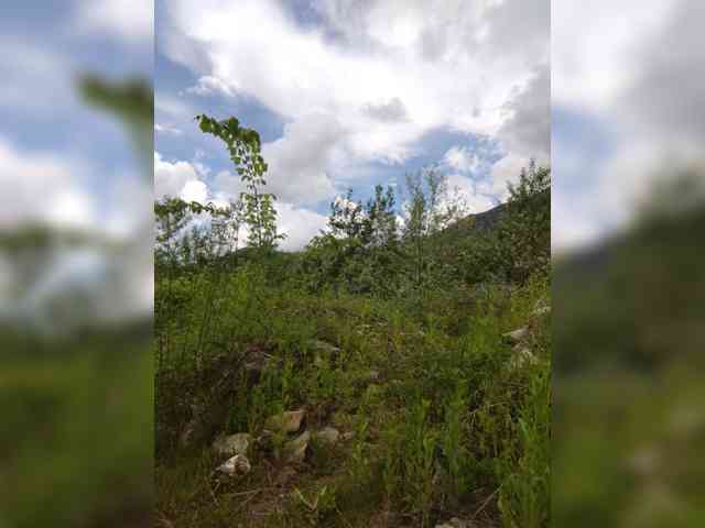 kgoryachaya webcam