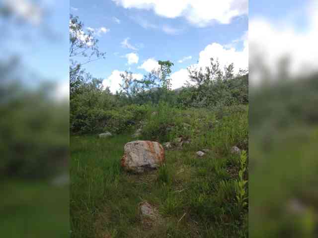 kgoryachaya webcam