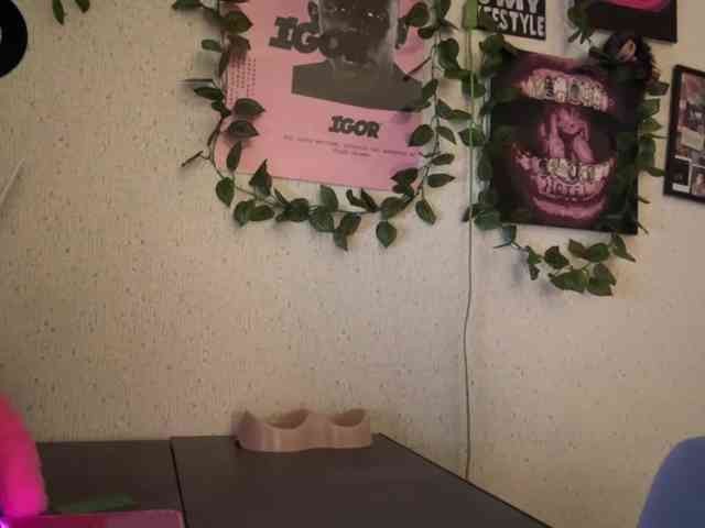 KacyBodwin webcam