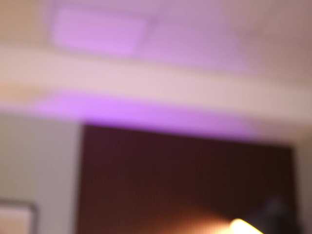 dariaveil cam belle