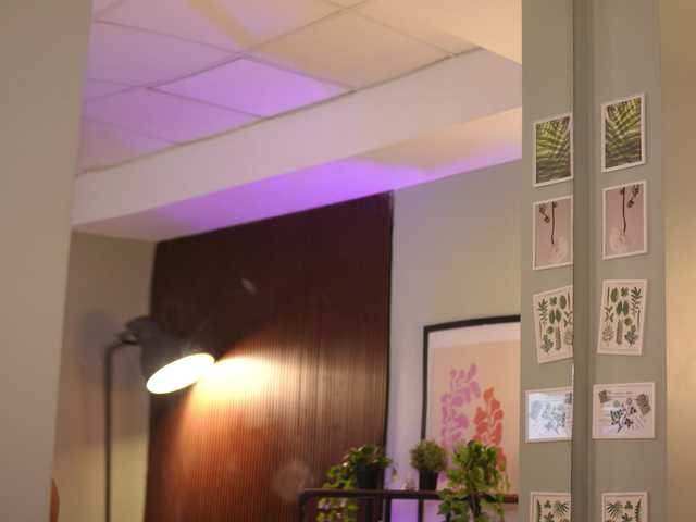 DariaVeil live cam on BongaCams