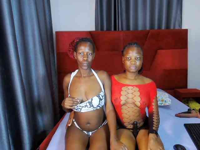 Model: Queenbees