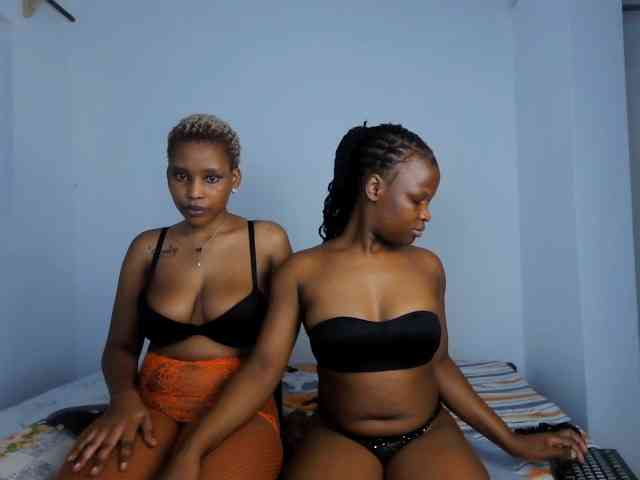 Model: Queenbees