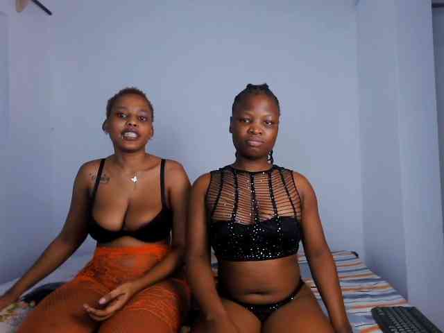 Model: Queenbees