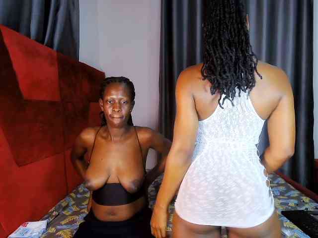 Model: Queenbees