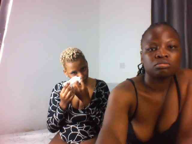 Model: Queenbees