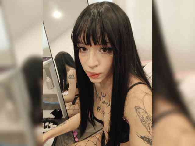 Ariel-Pika webcam