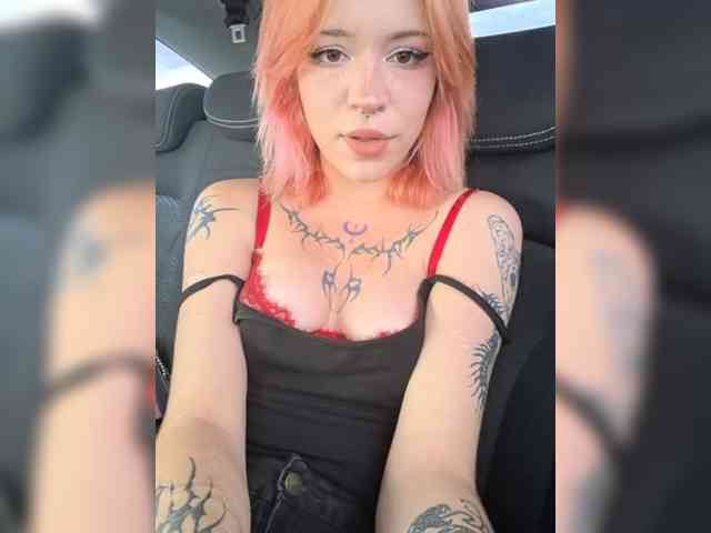 Ariel-Pika Live Webcam on BongaCams