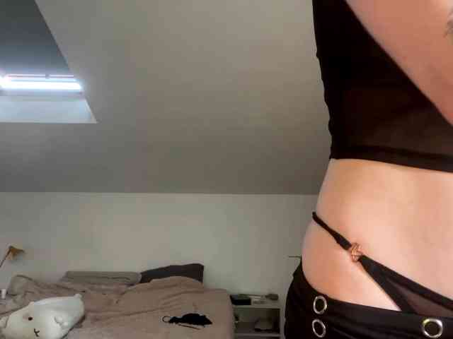 purrwhisp webcam