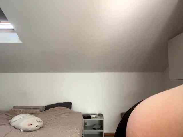 purrwhisp webcam