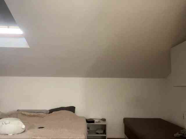 purrwhisp webcam