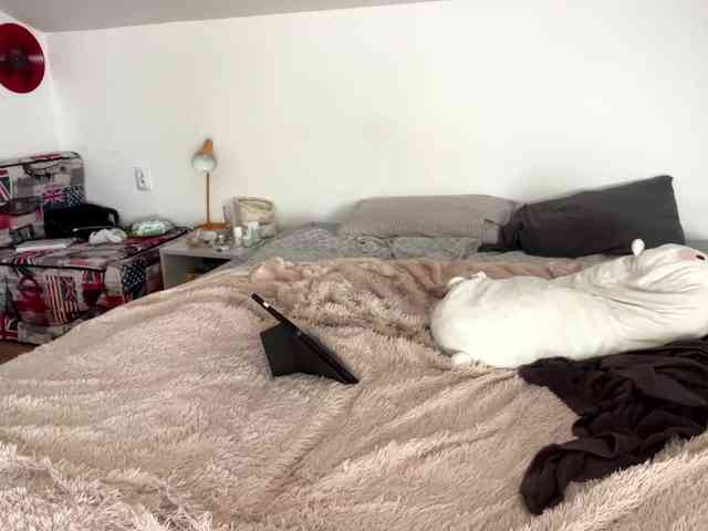 purrwhisp webcam