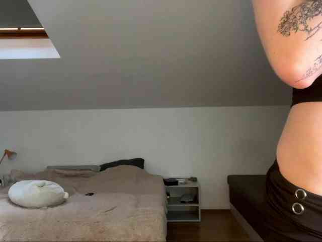 purrwhisp webcam
