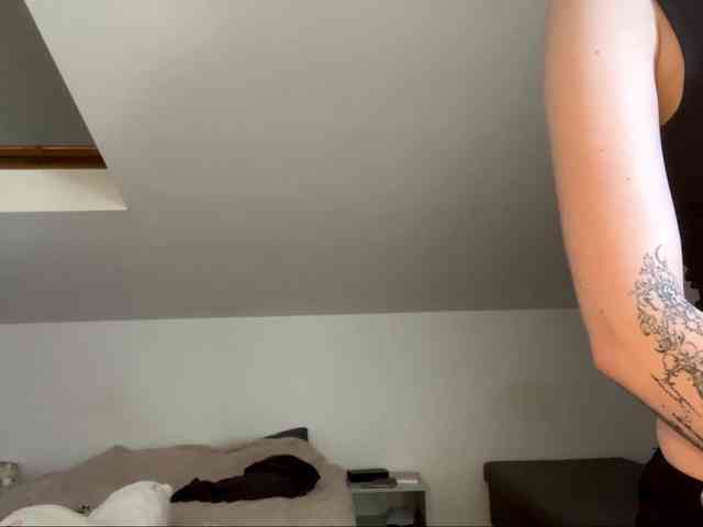 purrwhisp webcam