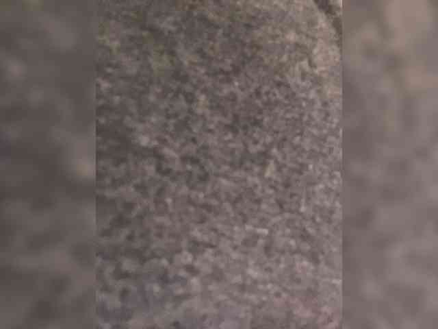 CheryelFoxx webcam