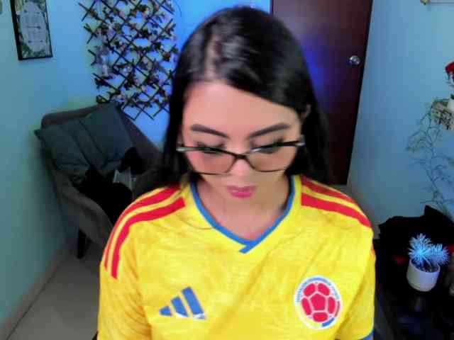 Sielax webcam