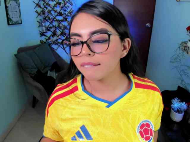 Sielax webcam