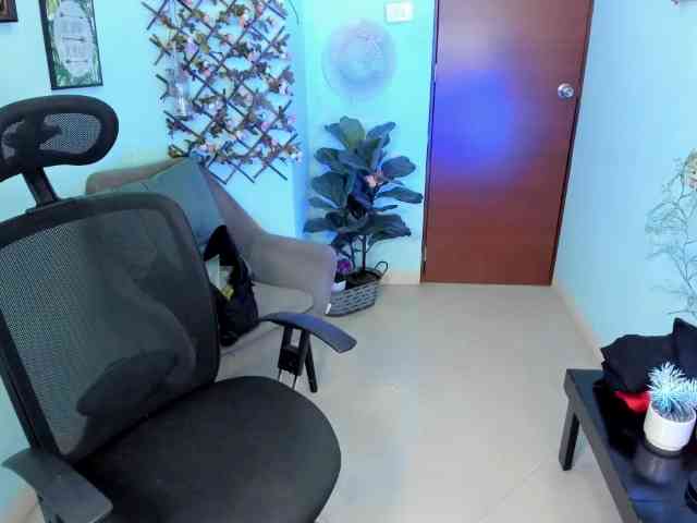 Sielax webcam