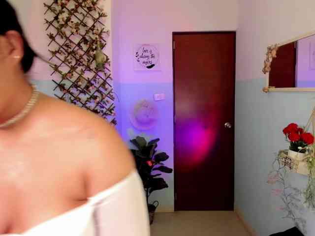 Sielax webcam