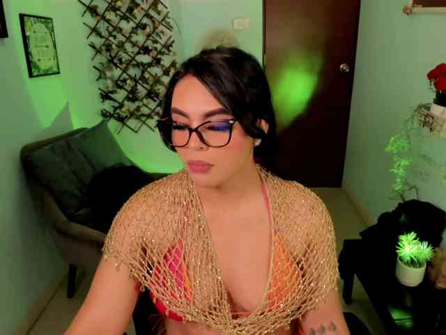 Sielax webcam