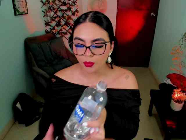 Sielax webcam