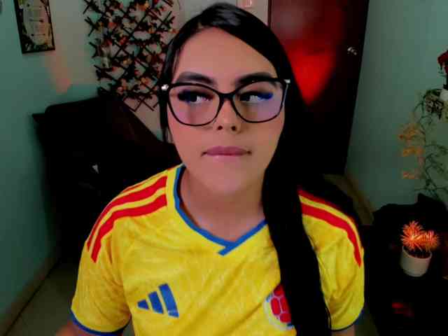 Sielax webcam
