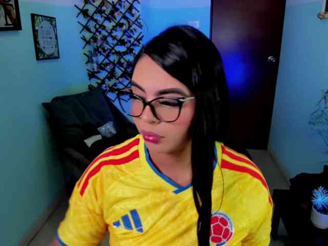 Sielax webcam