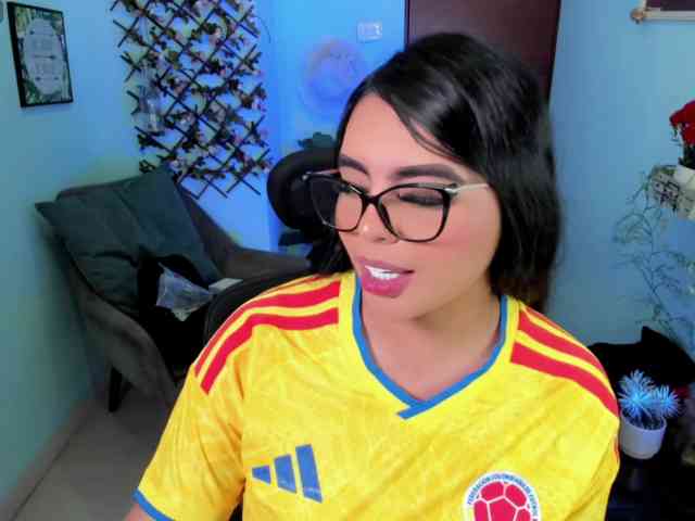 Sielax webcam