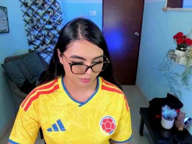 Sielax webcam