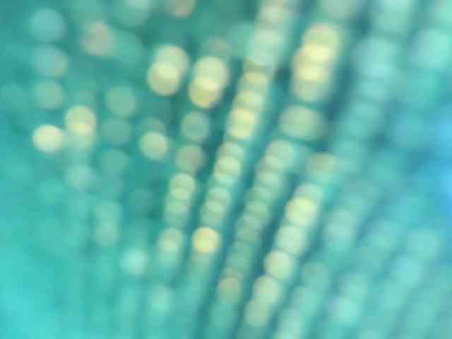 Sielax