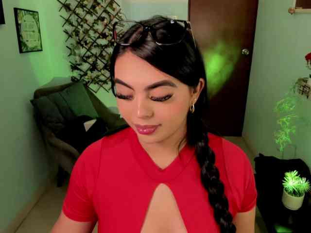 Sielax webcam