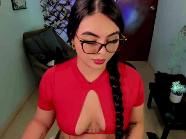 Sielax webcam