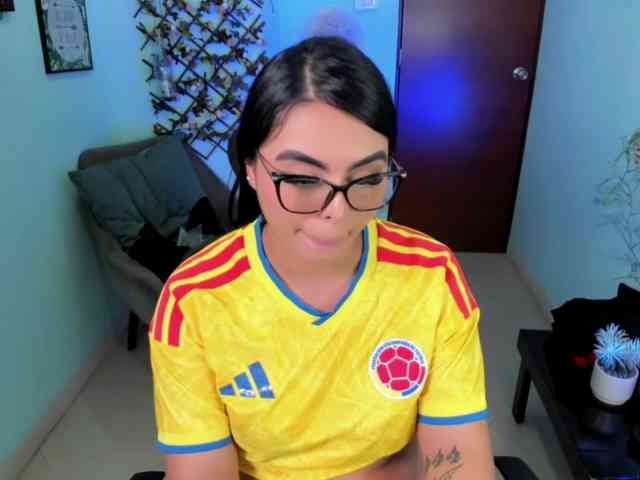 Sielax webcam