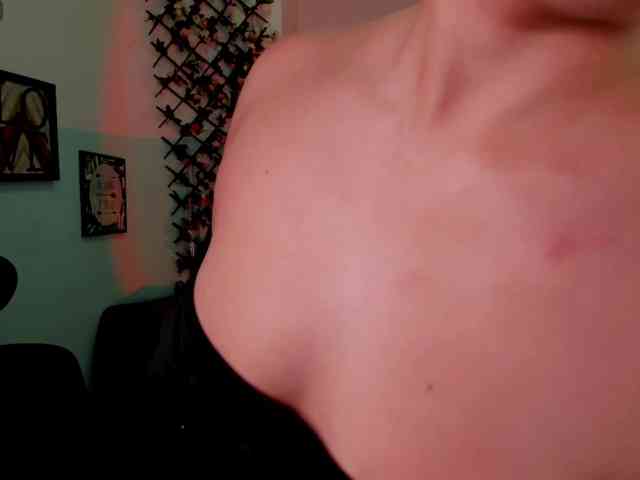Sielax webcam