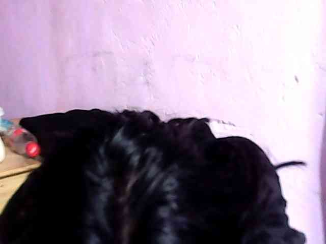 Natalie-Luxa webcam