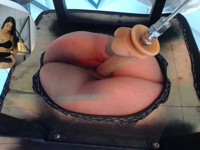 Amber-Dolls live cam on BongaCams