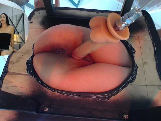 Amber-Dolls live cam on BongaCams