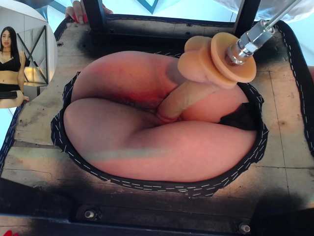 Amber-Dolls live cam on BongaCams