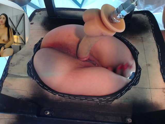 Amber-Dolls live cam on BongaCams