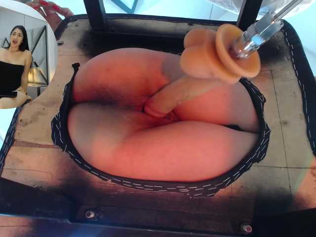 Amber-Dolls live cam on BongaCams