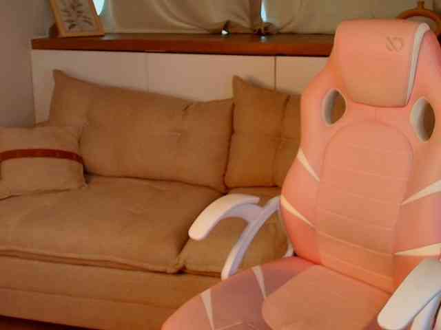 Rose-Desiree webcam