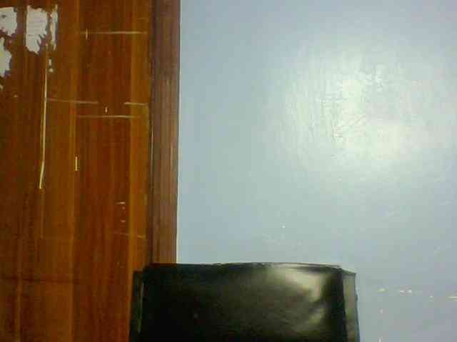 Fun-gal webcam