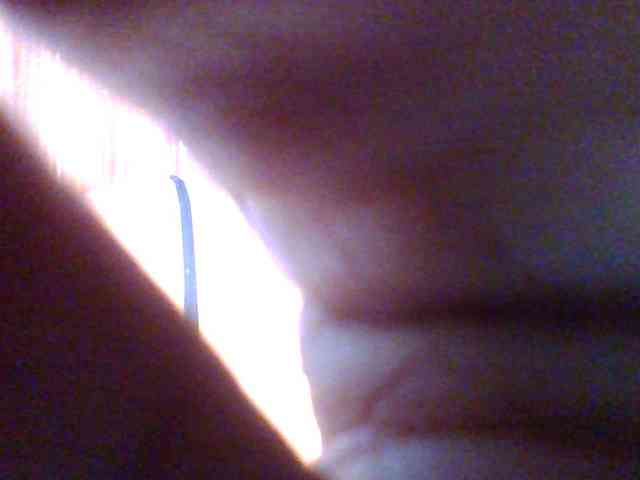 Fun-gal webcam
