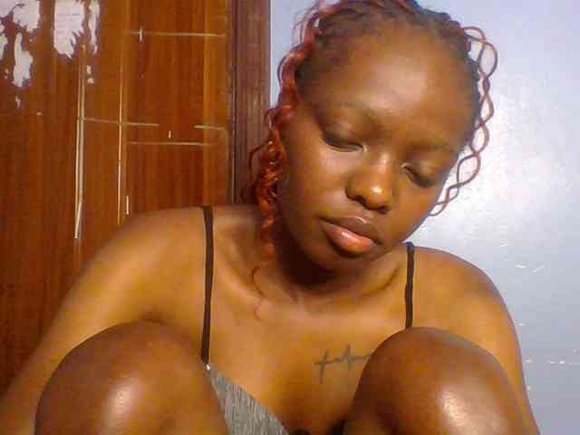 Fun-gal webcam