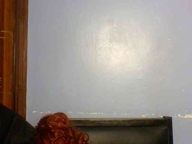 Fun-gal webcam