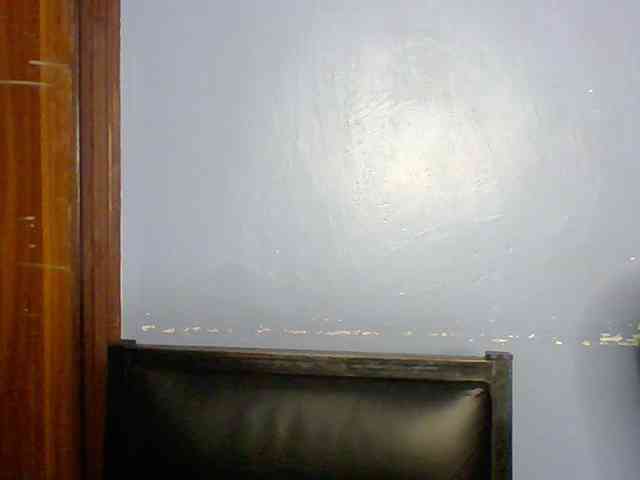 Fun-gal webcam