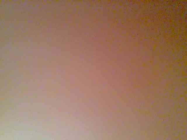Fun-gal webcam