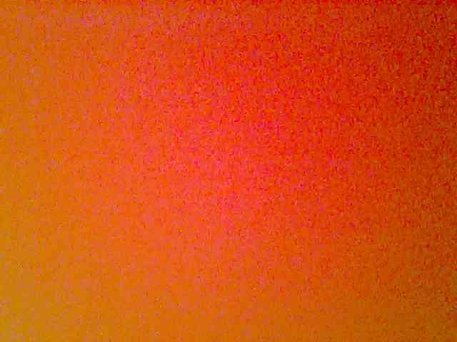 Fun-gal webcam