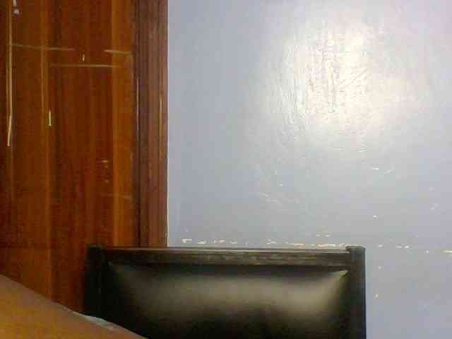 Fun-gal webcam