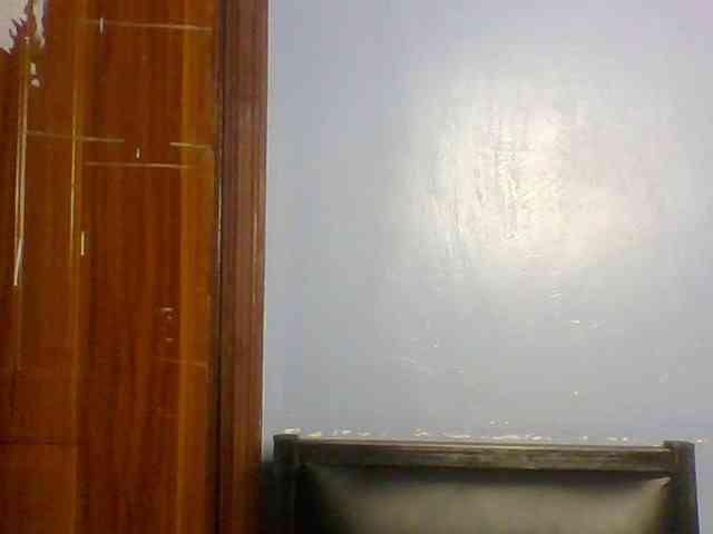 Fun-gal webcam